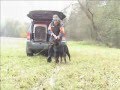 videos de Dobermann breeding female - Cora Carmen Morgantina - Trainin