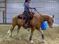 Equine Affaire 2012 Video Submission (Amanda & Shilo)