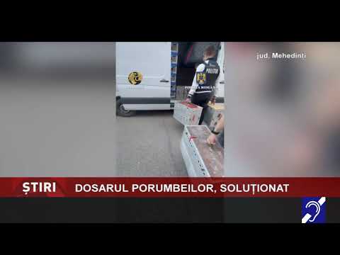 Dosarul porumbeilor de concurs, soluționat