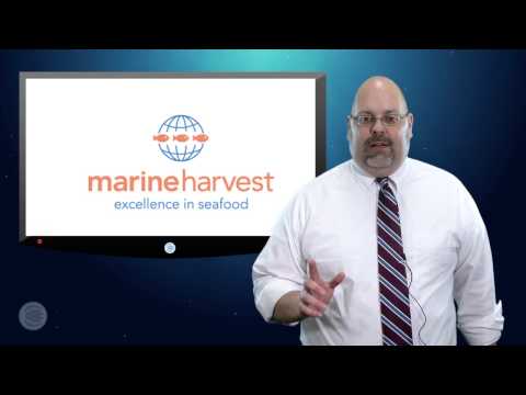 how to harvest fish oil