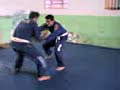Baiana: Diener x Afonso