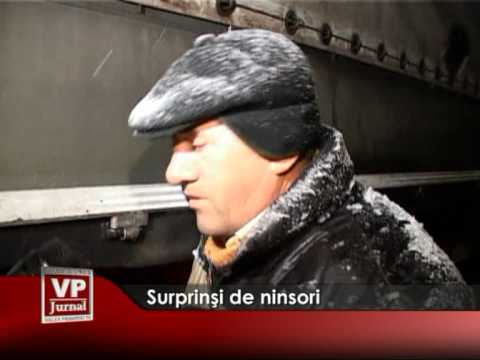 Surprinşi de ninsori