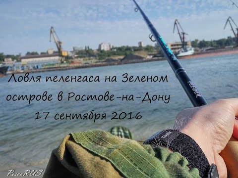 когда ловить леща в ростове на дону когда ловить леща в ростове на дону