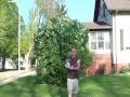 Esky Big Lama product review with blade strike examples.