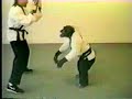 Santjago's Kung Fu