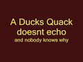 did-you-know-some-interesting-facts-you-may-not-know.html