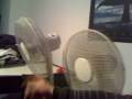 videos de Mortal Kombat de ventilateurs
