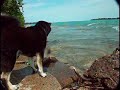 ベルアイル動画