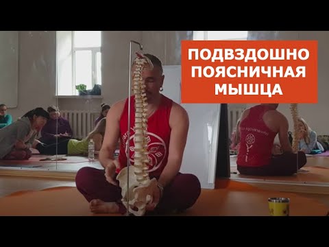 Подвздошно поясничная мышца. Подробный разбор. Анатолий Зенченко Подвздошно поясничная мышца. Подробный разбор. Анатолий Зенченко