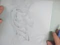 Anatomy is About Rhythm
