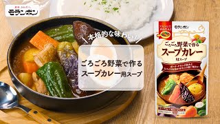 ごろごろ野菜で作る スープカレー用スープ