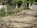 Bochaje extremo en el FIC - Parte 4 de 4