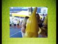 Parlino SMS-SM
