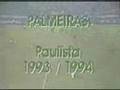 Palmeiras Campeao Paulista 1994