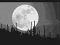 videos de De Antes