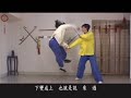 Taizu Longfist Application Sample