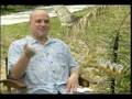 Cody Linley Brie Larson Logan Lerman interview for Hoot
