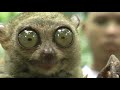 Thumbnail #1
