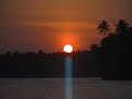 Indian violin song Neeyum vidhavayo by Ayoub