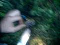 videos de Frog Preperation