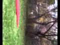 LEJUAN (LIL SHURON) TUMBLING