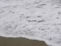 videos de bouteille - MySpace Video