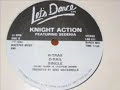 KNIGHT ACTION - R-TRAX D-RAIL