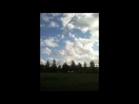 Visionner le vidéo...
