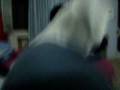 videos de MOV01381.MPG