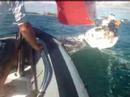 Downwind Gybe Practice