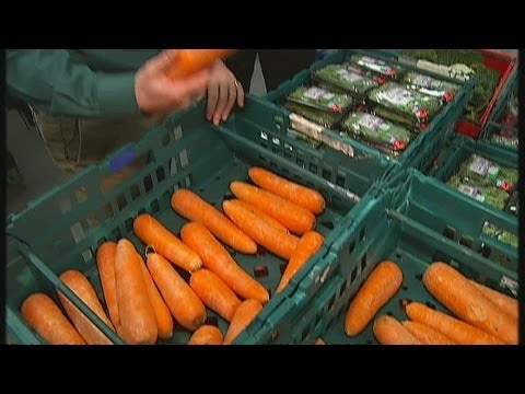 morally repugnant actions - Fifteen million tonnes of food are dumped in the UK each year, according to a House of Lords Committee, which has branded the waste as