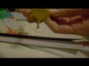 3 Fun Things to Do with a Burst Egg Laying Chicken