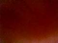 Video 19
