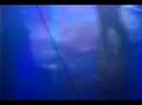 The Cure 2004.09.06 Mexico City - Closedown