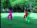 taiji fan praying mantis style taiji fan praying mantis style