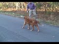 Brian takes a tumble Brian takes a tumble