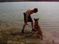 Malinois Nera stability treninng