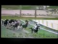 GP LINEU DE PAULA MACHADO 2002 GP LINEU DE PAULA MACHADO 2002