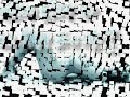 .:::: DuU WichseR ::::. BoY, IcH LiebE DicH NichT MehR ;-P
