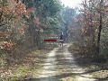 VIDEO DE L'ELEVAGE