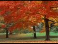 Hindi Christian Song - Yeshuaaa (Tere paas aatha hun)