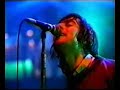 TV Offal - Oasis Wonderwall Parody