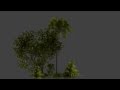 Terrain Set - Pt 03 - Grass creepers, Fern plant