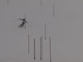 beaver-creek-age-class-j5-slalom-ski-race.html