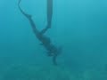 pesca in apnea (2/2) pesca in apnea (2/2)