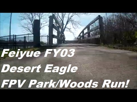 Feiyue FY03 Desert Eagle FPV Park/Woods Run!