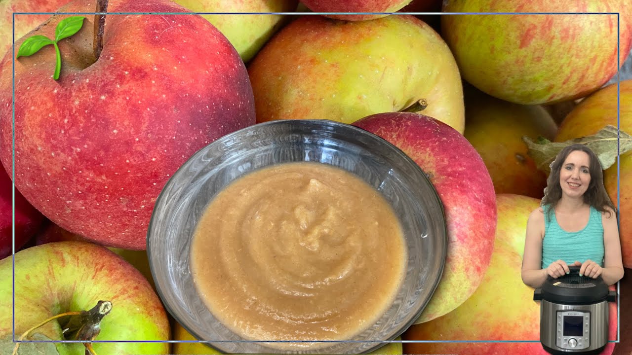 Instant Pot Duo Evo Plus Review Easy Instant Pot Recipes