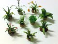 Quilling : indoor plants