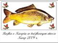 Karp 2009 - Bajka o Karpiu w trójkowym eterze
