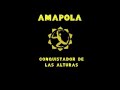 Amapola - Visiones del Fin